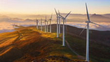 Which? argued that current Ofgem rules have allowed utilities to "greenwash". Image: Which?
